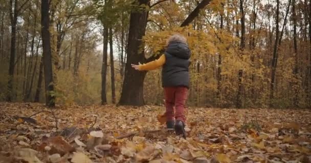 森の中で赤ちゃんを走らせ秋の日に自然の中で幸せな週末子供時代の休日に活動的な休息 — ストック動画