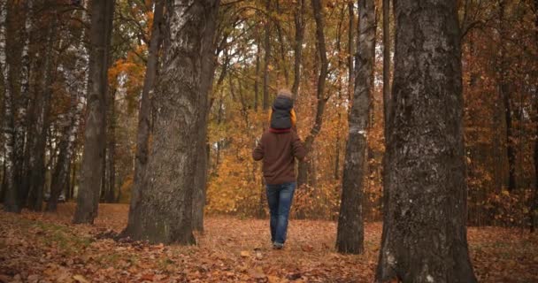 Отец носит своего маленького ребенка на плечах и гуляет в осеннем лесу в хорошую погоду, семейные выходные на природе, вид сзади человека — стоковое видео