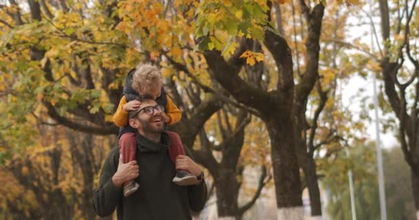 Idylická rodinná procházka v lese na podzim, malý chlapec sedí na ramenou svého otce, otec a syn se baví a smějí — Stock video