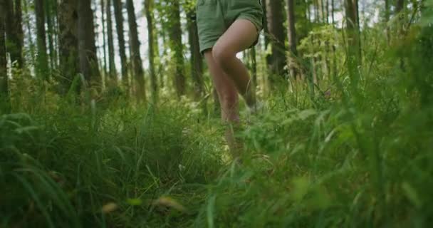 Πόδια που πηγαίνουν κοντά στο γρασίδι στο δάσος — Αρχείο Βίντεο