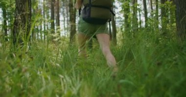 Ormanda çimlerin üzerinde doğa ve güzelliği keşfeden bir kadını izle. Spor ayakkabılı bacaklar çimlere.