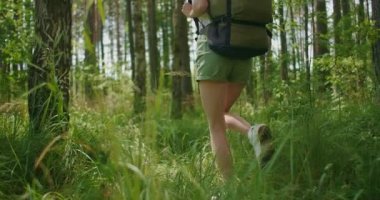 Ağır çekim: Bir kadının arkadan görünüşü çam ormanının içinden sırt çantasıyla ağaçlık bir yolda yürüyor