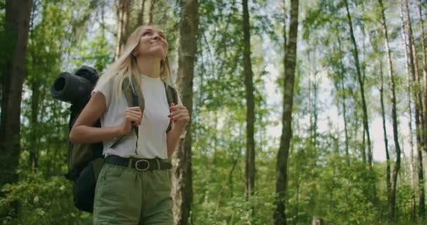 Spacer po lesie z plecakiem, aby obejrzeć piękno lasu — Wideo stockowe