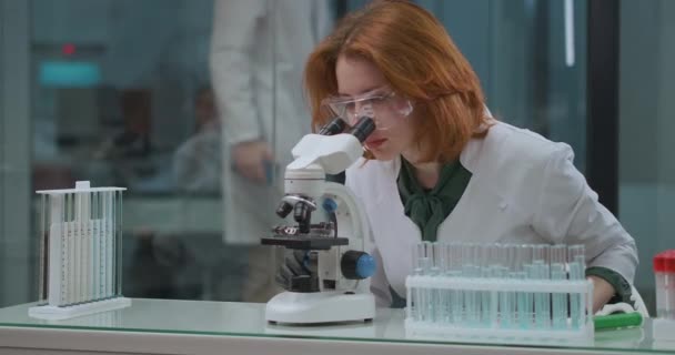 Дослідження клітинної імунології в лабораторії вченого, жінка-експерт вивчає аналіз та ліки в мікроскопі — стокове відео