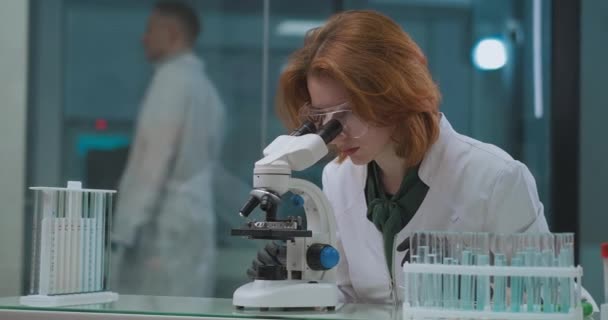 Orvosi kutatás minta DNK vagy vér bűnügyi laborban, női szakértő keres mikroszkóp és feltárása — Stock videók