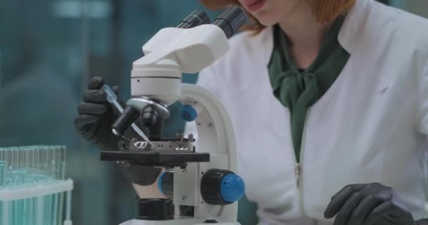 Женщина-химик работает с химикатами в лаборатории, беря образцы из пробирки и смешивая под микроскопом — стоковое видео