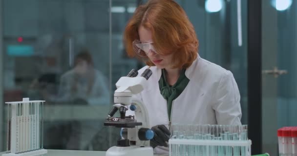 Femme médecin explore l'analyse en laboratoire, prélever un échantillon de liquide dans le tube à essai et regarder au microscope — Video