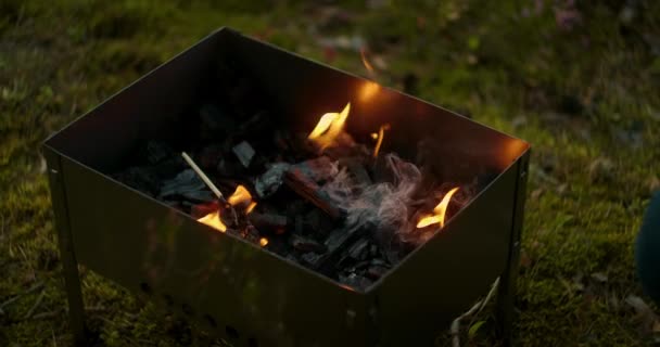 Polttava hiilet sisällä chargrilli luonnossa, hidastettuna laukaus liikkuvan liekin, piknik ja retkeily — kuvapankkivideo