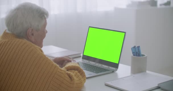 Uma mulher idosa olha para um monitor com uma tela verde e fala através de um link de vídeo com sua neta ou filha ou um médico. Vídeo ajuda para os idosos. Vovó usa um laptop — Vídeo de Stock