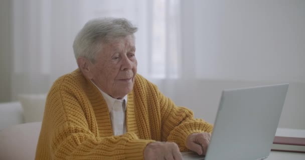 Mulher velha conversa com sua neta em videochamada usando um laptop.Video conferência com um médico — Vídeo de Stock