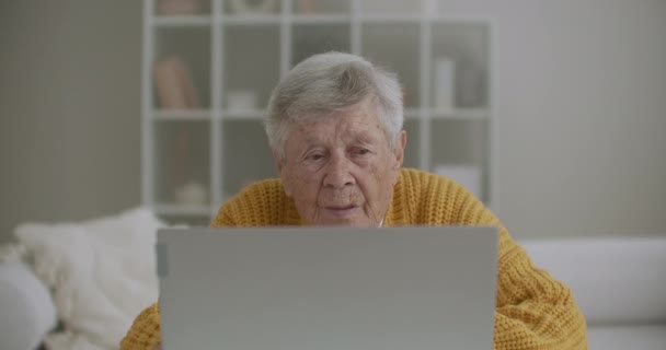 Mulher velha conversa com sua neta em videochamada usando um laptop.Video conferência com um médico — Vídeo de Stock