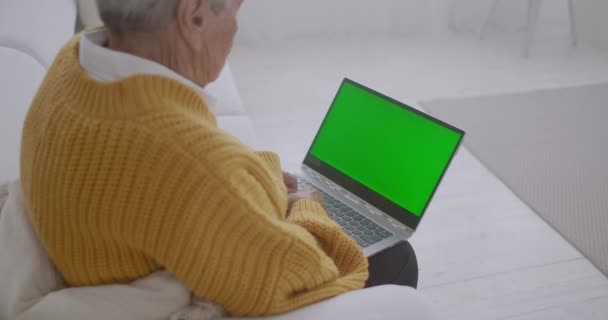 Mulher madura acenando com a cabeça sim enquanto olha para um computador de tela verde. Idosos mulher madura com cabelos grisalhos e uma chamada de vídeo em seu laptop. Laptop com uma tela verde — Vídeo de Stock
