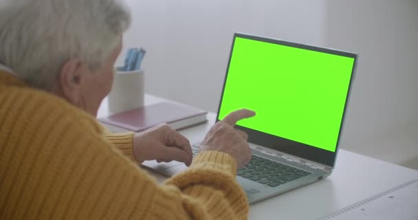 Mulher madura acenando com a cabeça sim enquanto olha para um computador de tela verde. Idosos mulher madura com cabelos grisalhos e uma chamada de vídeo em seu laptop. Laptop com uma tela verde — Vídeo de Stock