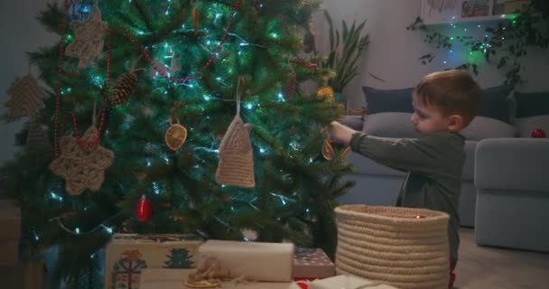 Маленький хлопчик прикрашає Різдвяну ялинку напередодні Різдва в скляній кулі — стокове відео