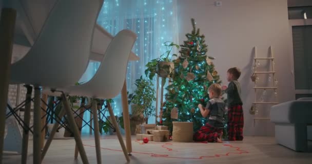 Garçons de 5 à 8 ans décorant des jouets d'arbre de Noël le soir de Noël — Video