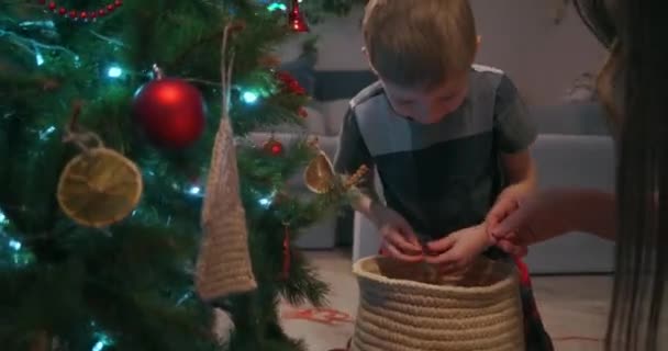 Zwillingsjungen und ihre Mutter wählen gemeinsam Glaskugeln aus, um den Weihnachtsbaum zu schmücken — Stockvideo