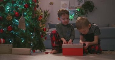 Ağacın altında iki çocuk birlikte bir Noel hediyesi açıyor. Hediyenin ışığı.