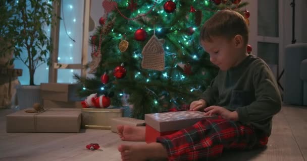 Sevimli üç yaşındaki çocuk Noel hediyesini açıyor ve içinde bir oyuncak ayı buluyor. — Stok video