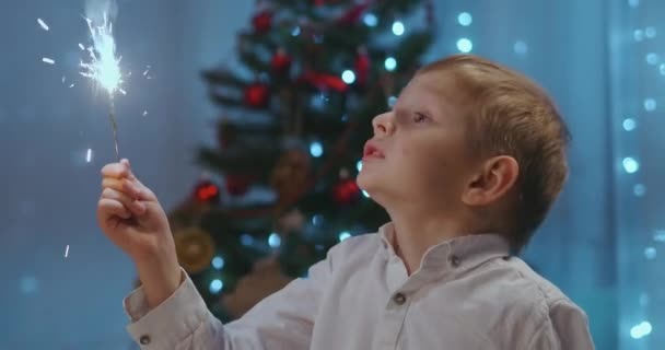 Un niño sostiene y mira alegremente a un chispeante sentado en la cena en Nochebuena. Celebra el nuevo año con bengalas. Chico, 3-5, sostiene un fuego Sparkler — Vídeos de Stock