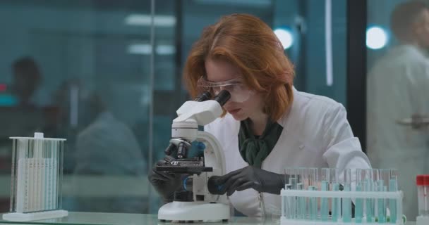 Suç uzmanı, bilimsel laboratuvarda mikroskopla örnekleri araştırıyor. Kadın profesyonel uzman. — Stok video