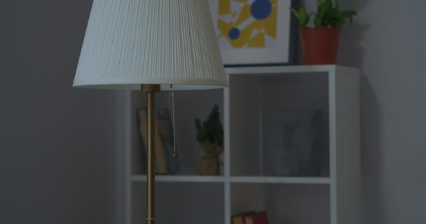 Interior e iluminação em apartamento moderno, pessoa está ligando lâmpada de assoalho, detalhes tiro dentro de casa — Vídeo de Stock
