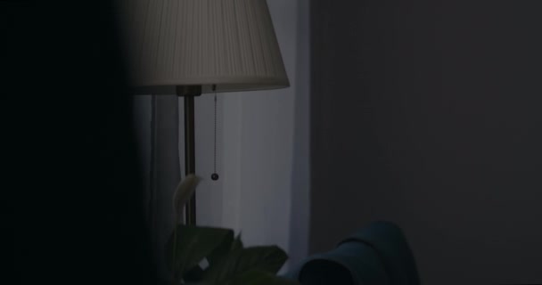Hemmafru närmar sig golvlampan i lägenheten och slår på ljuset, detaljer i vardagsrummet — Stockvideo