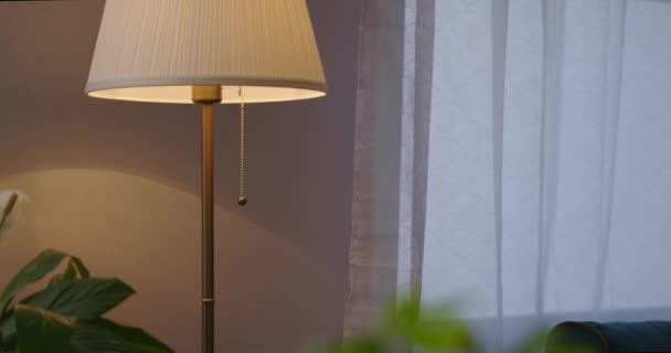 Mulher está andando na sala de estar e desligando lâmpada de assoalho no apartamento à noite, detalhes tiro — Vídeo de Stock