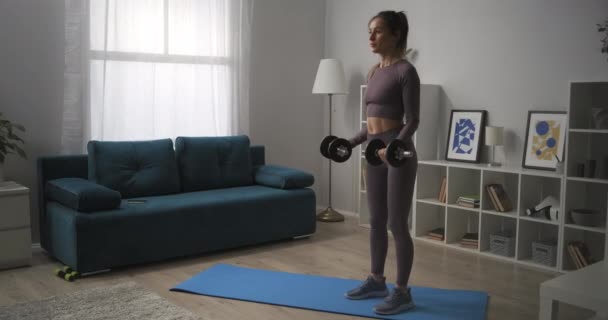 Mujer joven con cola de caballo está levantando pesas en la sala de estar, entrenamiento en casa, fitness y bienestar, estilo de vida saludable — Vídeos de Stock