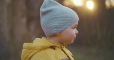 Küçük çocuk 2 yaşında, etrafındaki dünyayı öğreniyor. Günbatımında sonbahar ormanında bir yürüyüş. Yandan ateş ediyorlar. Yakın plan..