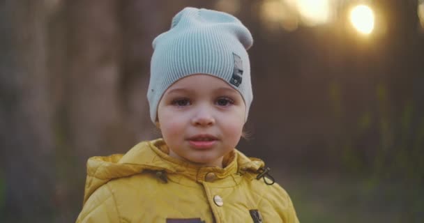 Little boy in casual clothes looking at camera while standing on blurred background of trees in evening in autumn forest. Close-up. — Stock Video