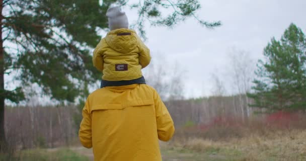 Kleiner Junge sitzt auf Papas Schultern, während er durch den Nadelwald geht, von hinten erschossen — Stockvideo