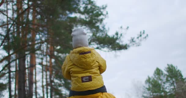 El niño se sienta sobre los hombros del padre. Padre e hijo con chaquetas amarillas. Caminar por el bosque de coníferas, disparando por detrás. — Vídeos de Stock