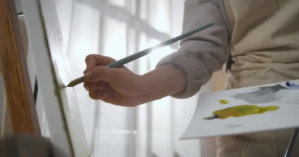 Kreativní osoba kreslí obraz, detail rukou s paletou a štětcem, umělkyně pracuje ve studiu, malba — Stock video