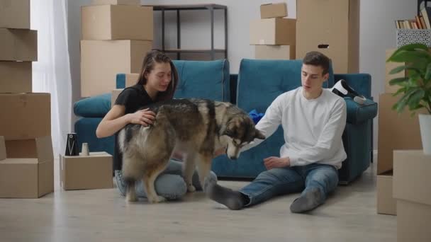 Happy man and woman begin to live together in a new home. They sit on the floor near the boxes with things. The girl is stroking a large dog. — Stock Video