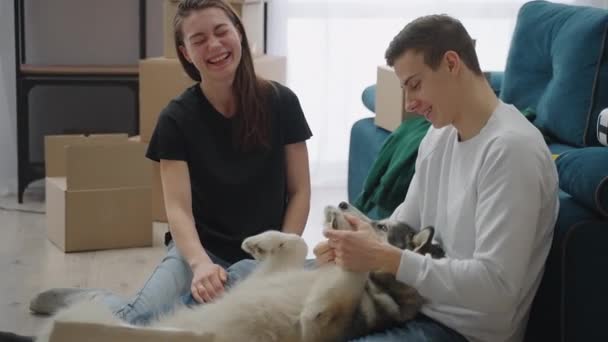 Chica feliz y su novio están acariciando a un perro grande en un nuevo apartamento espacioso. — Vídeo de stock