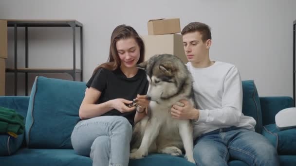 Casal jovem com um cão adulto está sentado em um sofá macio em um apartamento brilhante. Mulher feliz sacode chaves de um novo apartamento. No fundo, há caixas de papelão para mover. — Vídeo de Stock