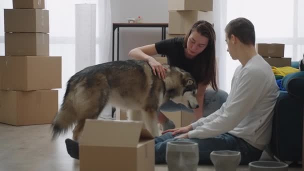 Pareja joven y un perro grande se han mudado a un nuevo apartamento. La gente se sienta en el suelo junto a cajas de cartón en un espacioso apartamento alquilado. La chica alimenta al perro de sus manos. — Vídeo de stock