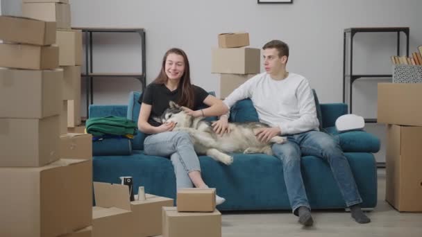 Joven hombre y mujer están sentados en el sofá en un nuevo apartamento. Entre ellos hay un perro cascarrabias. Pareja feliz discutiendo el arreglo de los muebles después de la mudanza. — Vídeos de Stock