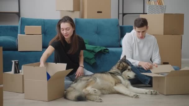 Joyful jong paar met een grote hond in een nieuw huis. — Stockvideo