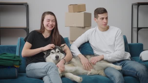 Mladá rodina začíná nový život v prostorném bytě. Ideální dívka hladí svého dospělého psa a ukazuje směrem k oknu. — Stock video