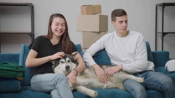 Eine junge Familie beginnt in einer geräumigen Wohnung ein neues Leben. Das ideale Mädchen streichelt ihren erwachsenen Hund und zeigt zum Fenster. — Stockvideo