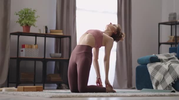 스 포티 여성은 몸을 펴고 몸을 따뜻하게 하고, 거실에서 아침 운동을 하고, 성인 여성은 운동을 합니다 — 비디오
