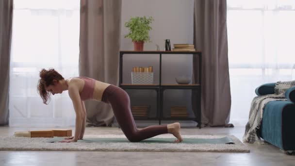 Yogi mulher está realizando Adho Mukha Shwanasana e Urdhva Mukha Shvanasana no quarto, praticando ioga em casa de manhã — Vídeo de Stock