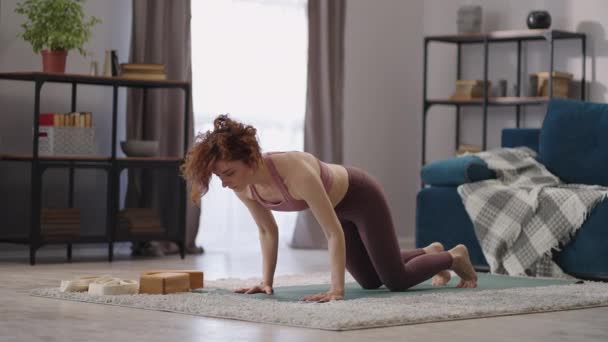Mujer deportiva está haciendo ejercicio físico en casa, el calentamiento y estiramiento de los músculos antes del entrenamiento, fitness en casa — Vídeos de Stock