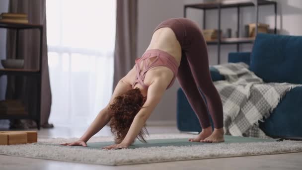 Entraînement de yoga matinal de la femme adulte à la maison, dame sportive effectue Adho Mukha Shwanasana et Urdhva Mukha Shvanasana — Video