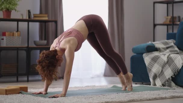 Adho Mukha Shwanasana y meditación por la mañana, la mujer está entrenando sola en el apartamento, haciendo ejercicio físico — Vídeos de Stock