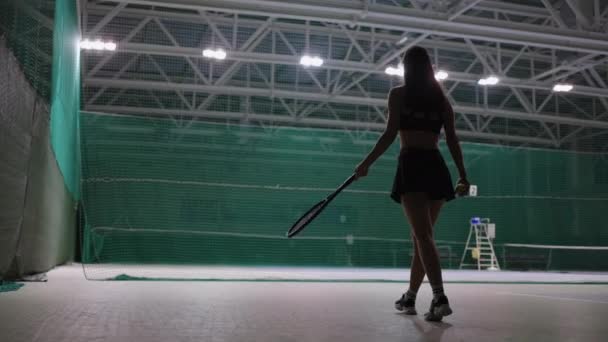 Sexy female tennis player is walking on court indoors, throwing ball and catching, rear view — Stock Video