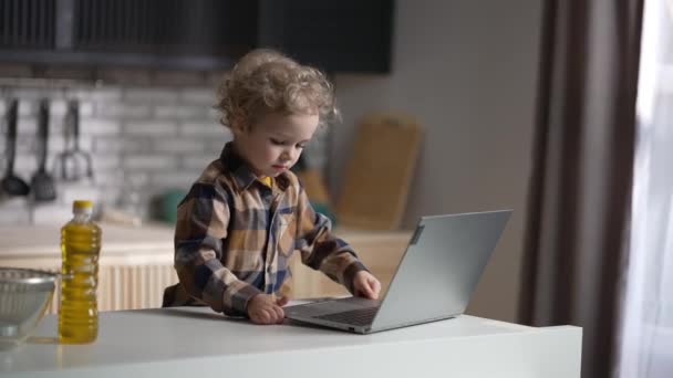 Малюк один вдома, маленький хлопчик використовує ноутбук на домашній кухні, перегляд мультфільмів, щаслива дитина — стокове відео