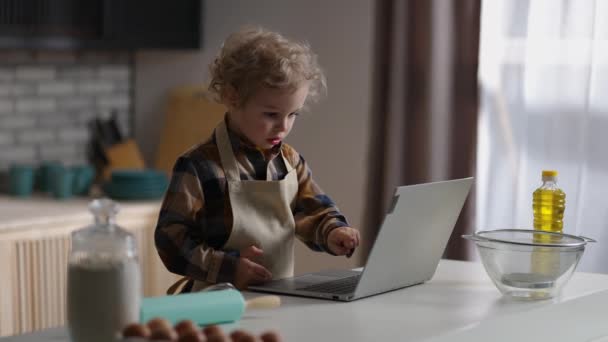 Lille dreng er ved at lære at lave mad, visning tutorial for børn på visning af bærbar computer, spille på hjemmet køkken alene, medium portræt – Stock-video