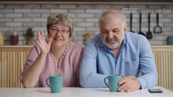 Amical couple âgé de l'homme et de la femme sont à la recherche de la caméra et souriant, agitant les mains, portrait shot — Video
